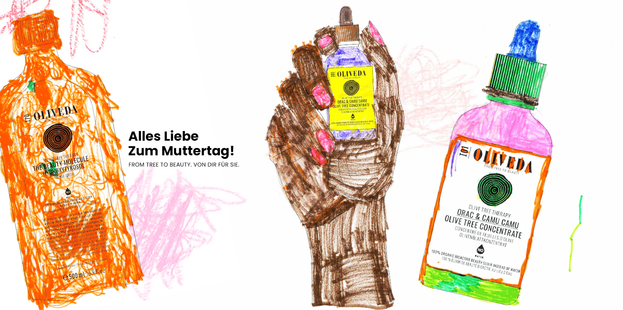 Wahre Schönheit aus Bergolivenbäumen